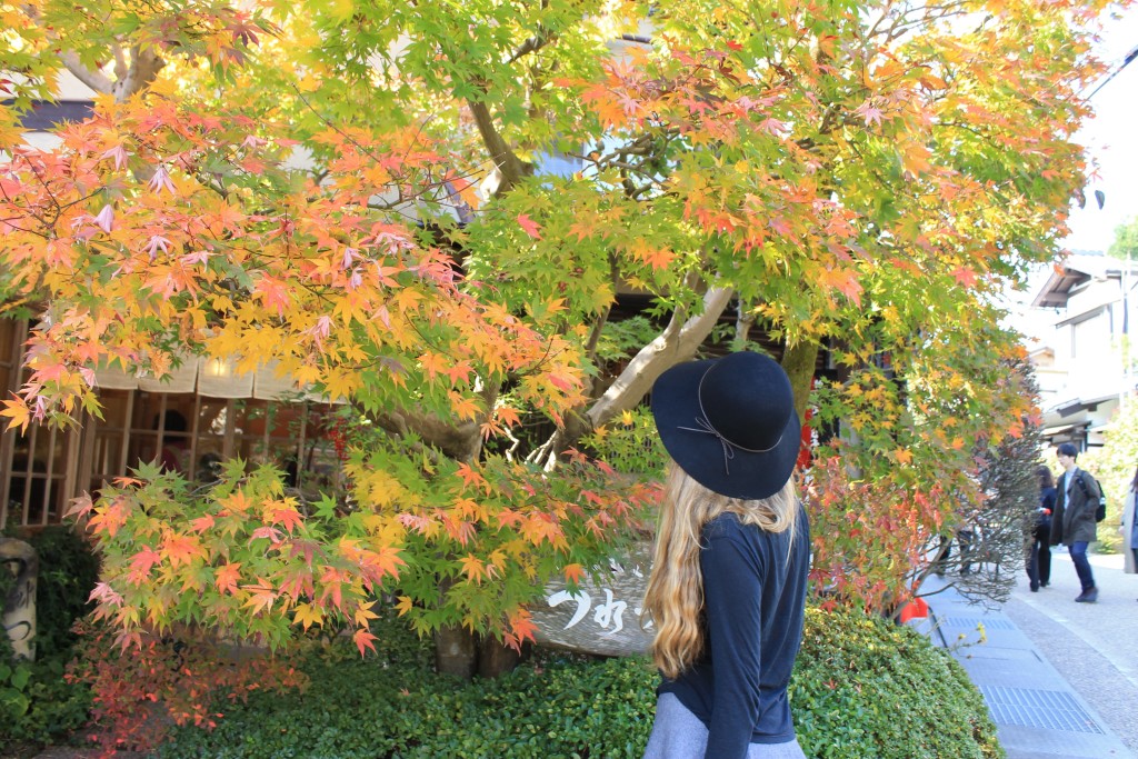 Kinh nghiệm du lịch Nhật Bản mùa lá đỏ